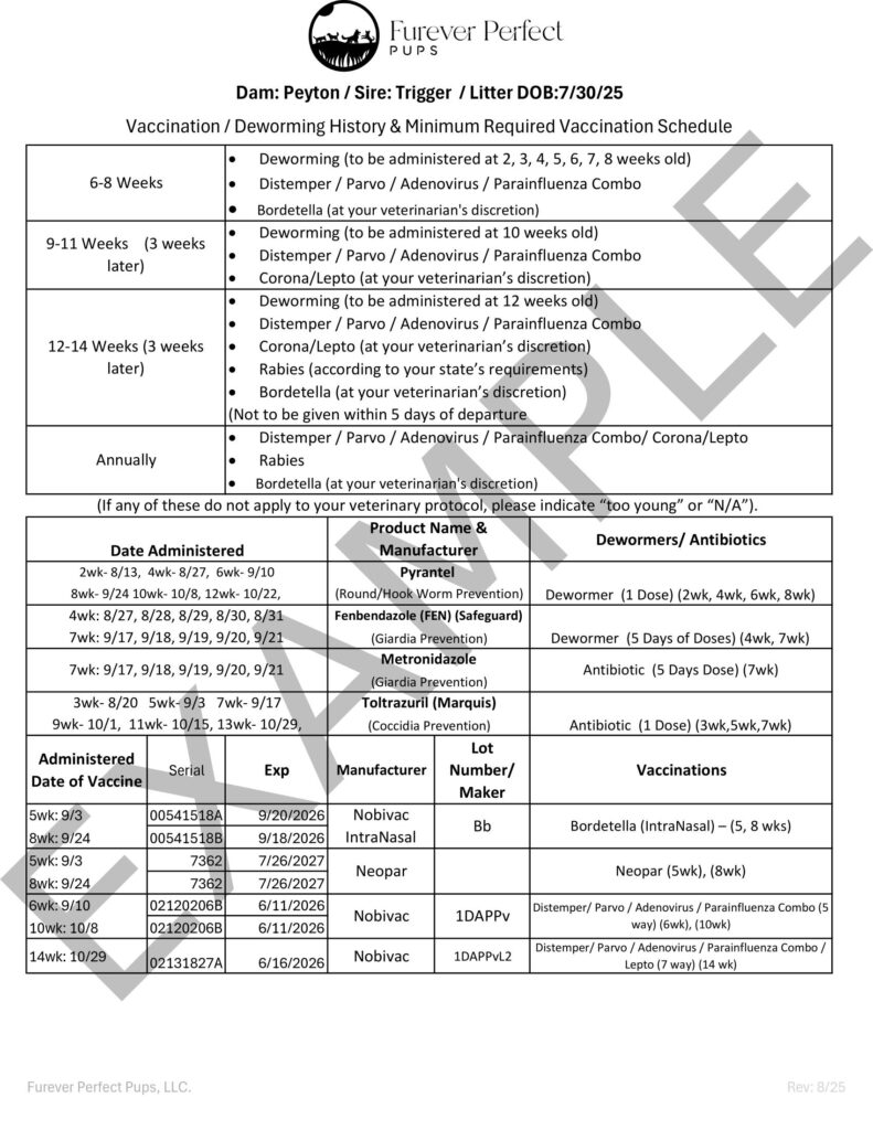 Wellness Exam Certificate example for Furever Perfect puppies