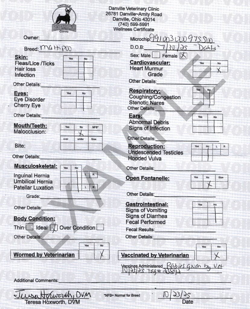 Wellness Exam Certificate example for Furever Perfect puppies